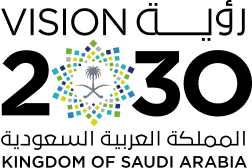 Vision 2030